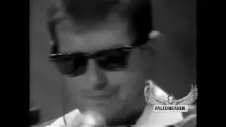 Falco Tribute 2019