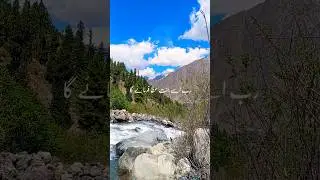 Sulha Ki Fazeelat #shortvideo #gilgitbaltistan #shortsvideo #love #qurantranlation #shorts #short