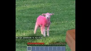 A Minecraft Movie Trailer but it's my voice