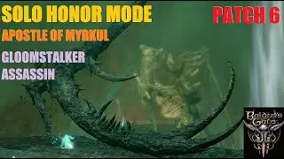 Solo Honor Mode - Patch 6 Apostle of Myrkul - Gloomstalker Assassin (BG3)