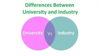 Differences Between University and Industry