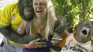 Самые смешные приколы с животными октябрь 2016(3).The most funny jokes with animals October 2016(3)