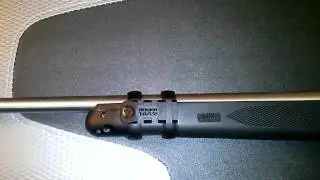 Ruger Lasermax 10/22