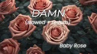 Baby Rose - Damn (slowed + reverb)