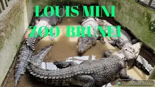 LOUIS MINI ZOO BRUNEI[PART 2]