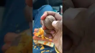 Trying Family guy Car Panini