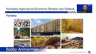 2020 Economic Review & Outlook | Forestry