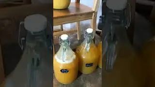 Fresh home made Cyser!