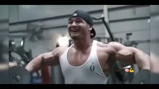 🎶The Pachec - Frangos🎶🔪☠️🧠💪