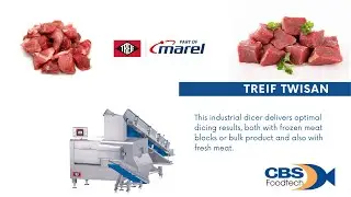 Treif - Twisan Dicer