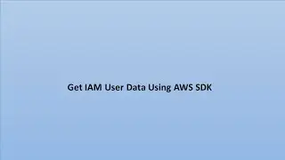 How to get AWS IAM role data in AWS SDK using STS