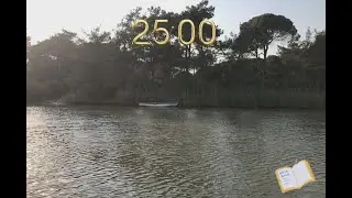 Pomodoro Tekniği (25 dk çalış - 5 dk dinlen)