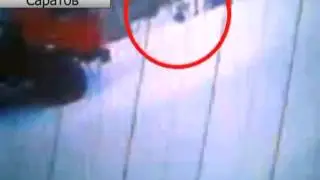 Собака обокрала прохожего и выпила все пиво