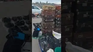 А ну-ка убери свой чемоданчик 