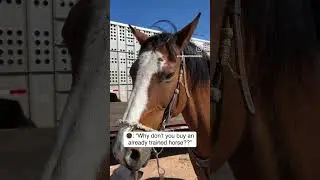 Might’ve almost got bucked off on some of our other attempts doing this… 👀#ranchhorse
