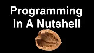 Programming in a Nutshell