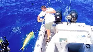 That didn't go as planned! Live baiting a school of Mahimahi! 🤙
