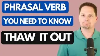 PHRASAL VERB : THAW OUT/ EXAMPLES OF THAW IT OUT/EXAMPLES OF THAW THEM OUT/EXAMPLES OF THAW OUT