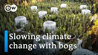 An expensive global climate experiment | DW Documentary