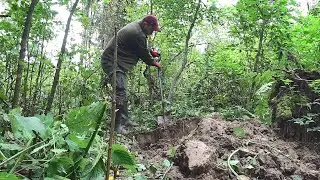 В поисках старого фундамента в лесу. Золотая лихорадка.