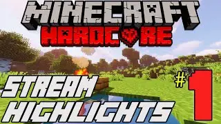 Starting off! (Hardcore Minecraft Stream Highlights #1)