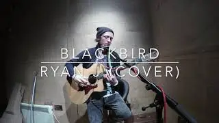 Black Bird - The Beatles (Cover)