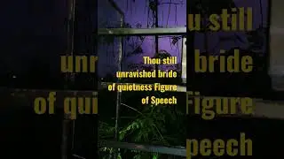 Thou still unravished bride of quietness Figure of Speech || John Keats