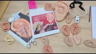👂Рефлексотерапия на ушной раковине 👂