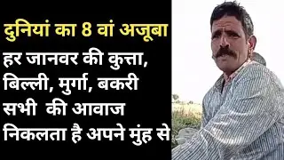 Amazing 👍 Fact of Voice, wonderful ✨😍 Fact Of Voice, All Catagary animals