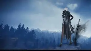 BLACK DESERT : DARK KNIGHT ANIMATION 