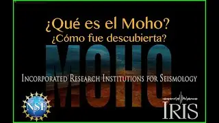 ¿Qué es el moho? ¿Cómo fue descubierto?