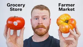 Can you actually taste a difference between Tomatoes?