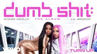 S3nsi Molly, Lil Brook - Turn Up (Audio)