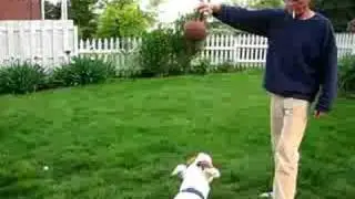 Best Buddies