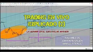 Operando forex - Trading en vivo (2) | Winpips