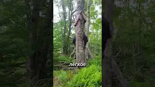 #filterchallenge