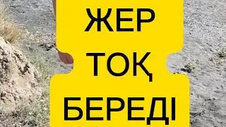 ЖЕРДЕН АДАМ ТОҚ АЛАДЫ