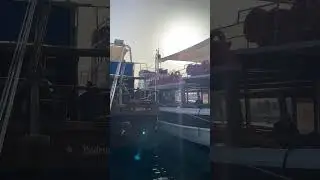 Бодрум, Турция, август