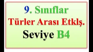 9.SINIFLAR TÜRLER ARASI ETKL. SEVİYE B4