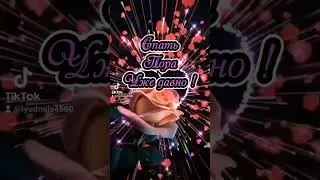 Добрый вечер ! Доброй ночи !🌹🌃