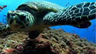 Underwater