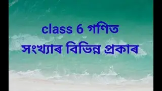 class 6 Maths | chapter 2 | types of numbers | assamese medium | questions answers