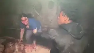 iShowSpeed Scares The Haunted House Worker 😂
