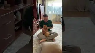 Бум бум