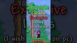 Terraria Console Exclusive Items (I wish we had on pc…)