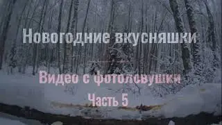 Часть 5. Новогодние вкусняшки