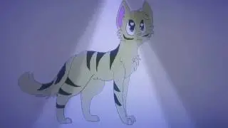 Арт для Долгохвост кот воитель ВК