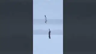 2 мира