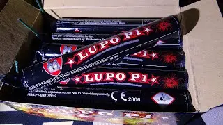 Lupo P1 - Scudo Fausto