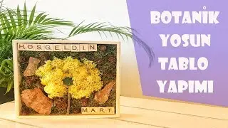 BOTANİK YOSUN TABLO YAPIMI